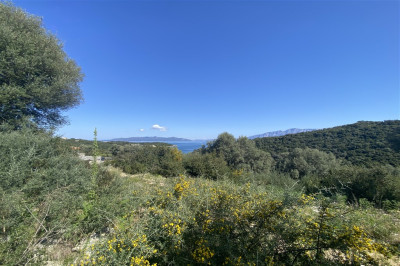 Meganisi LandwLicense3Houses02.jpg